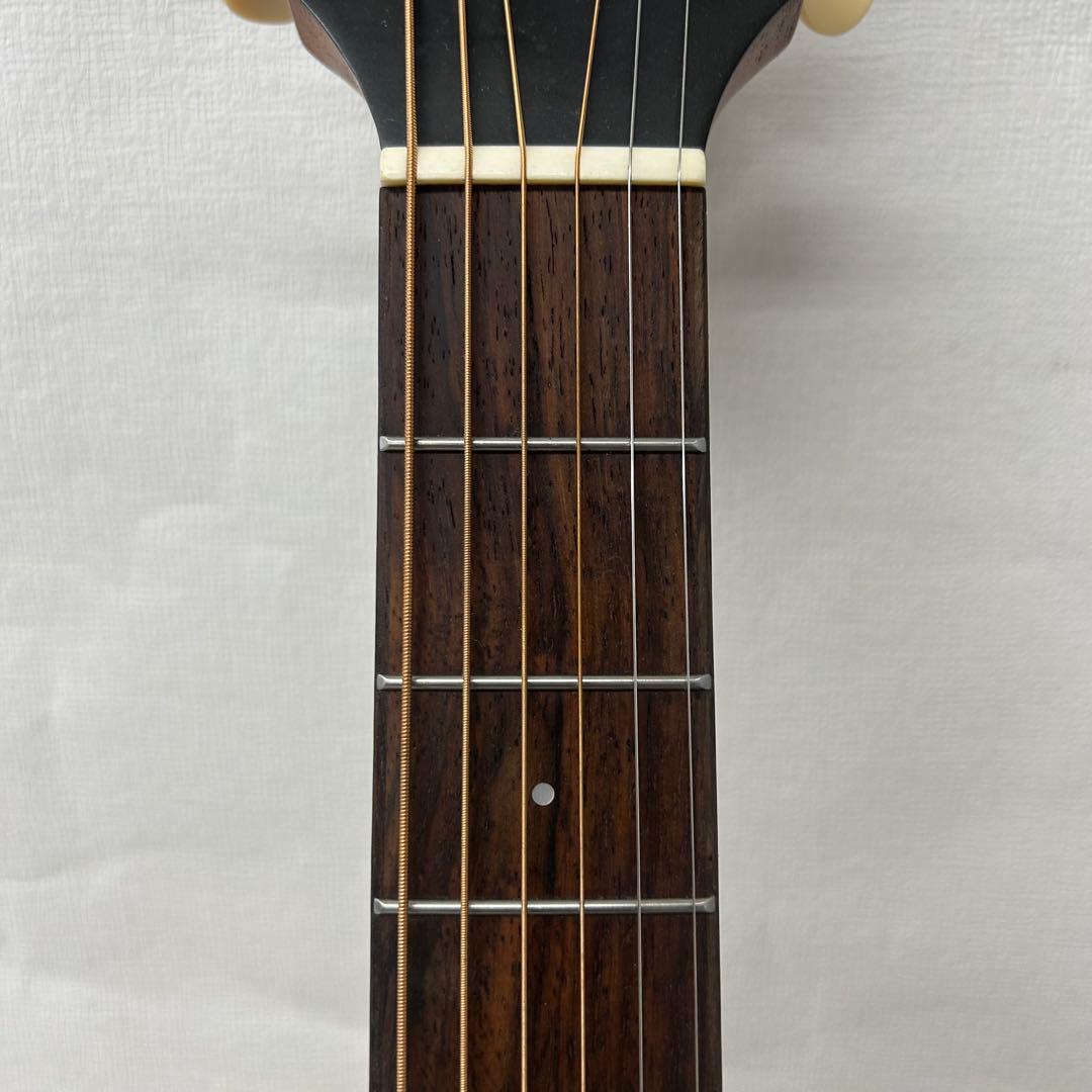 A.C. ZEMAITIS（ゼマイティス）アコースティックギターCAM-60H