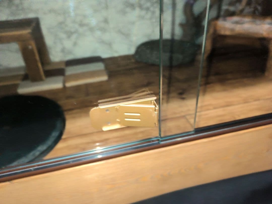 フトアゴヒゲトカゲ飼育フルセット