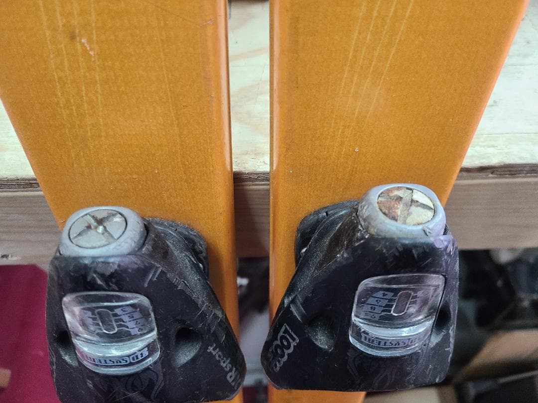 スキー 177 SALOMON XSCREAM TENEIGHTY