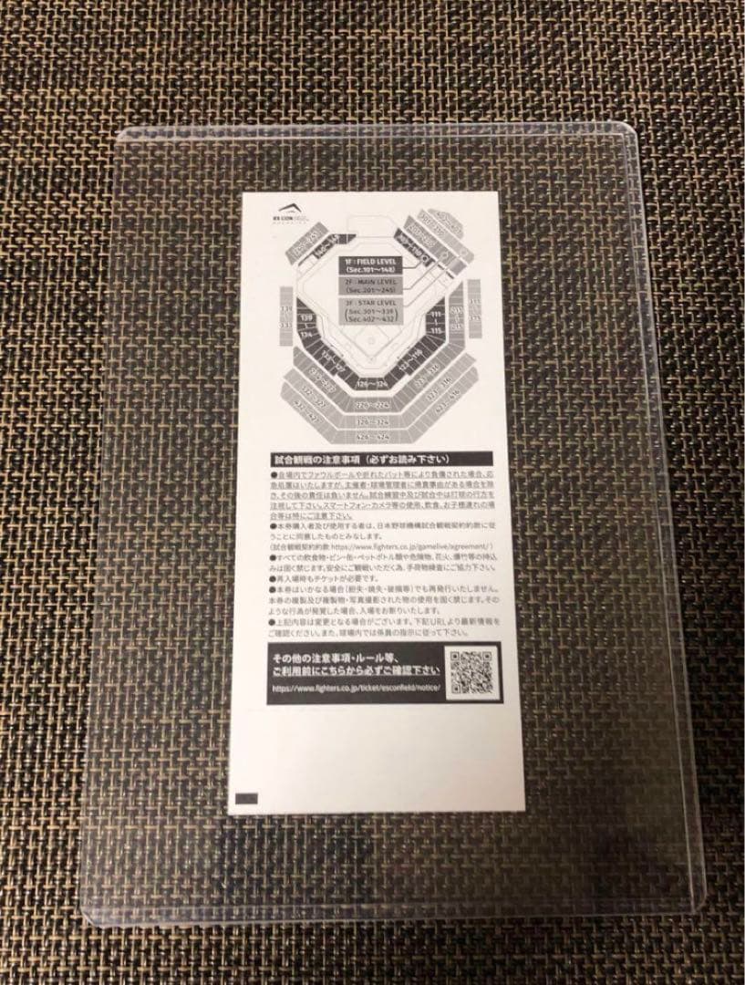 激レア　佐々木郎希　日本最終登板