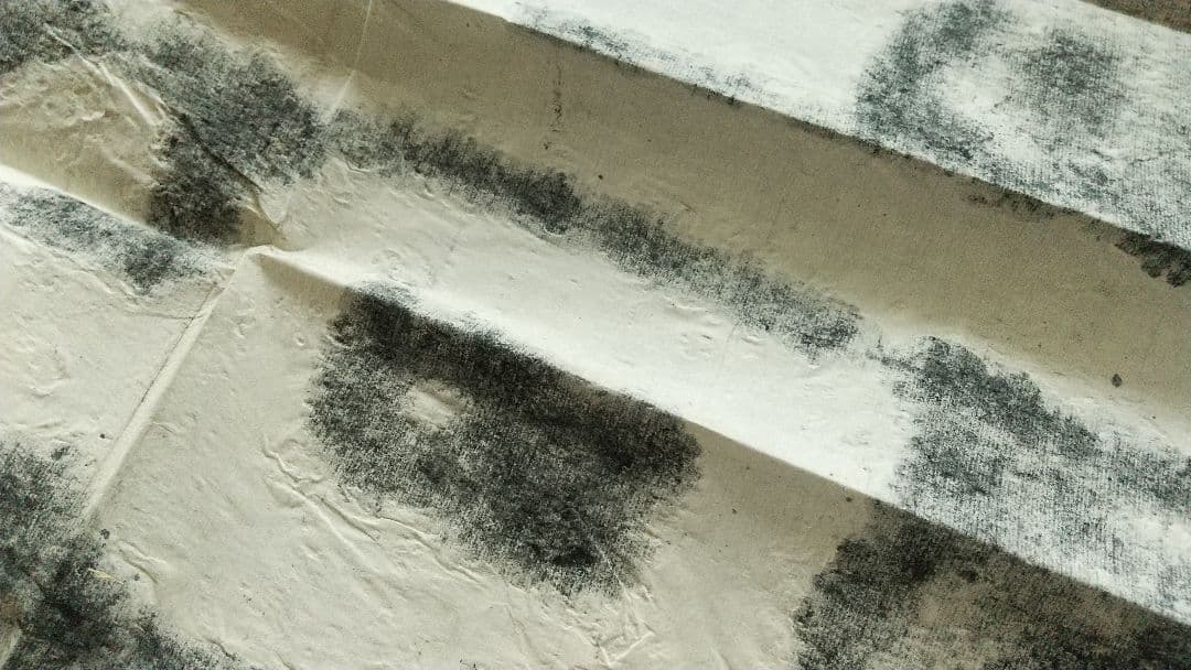 拓本 泰山金剛経 無量壽 書道 書家 金石 中国 未表装 三点