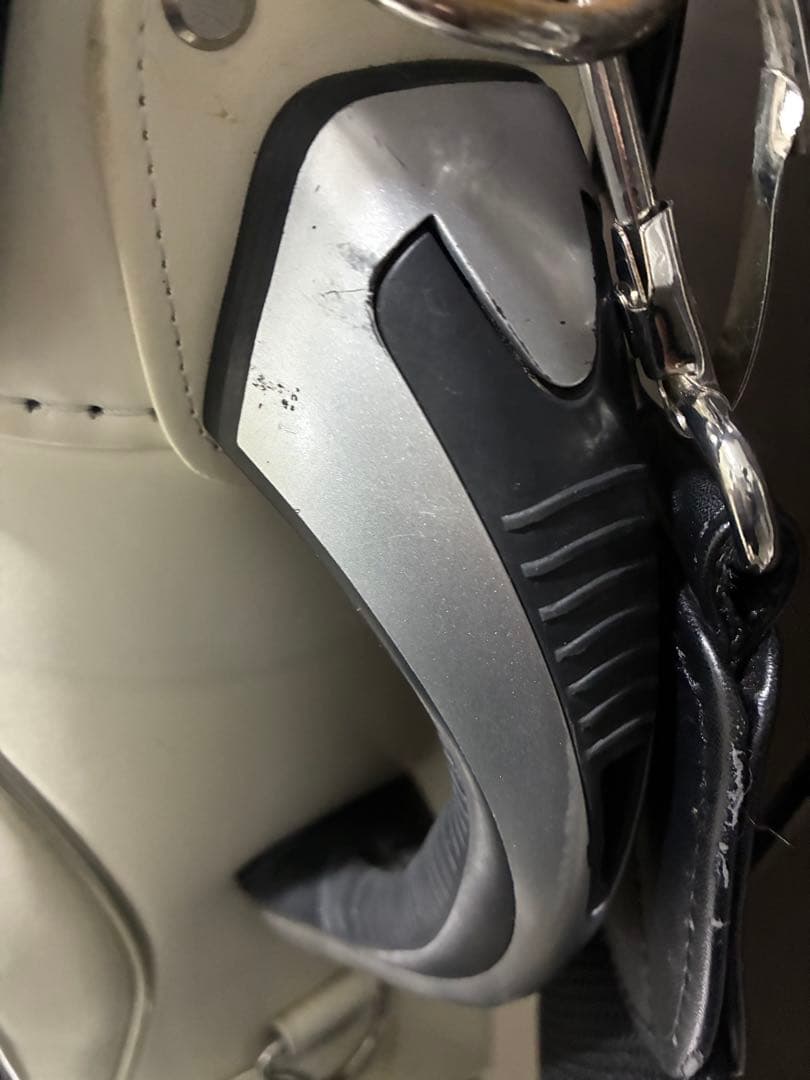 Disney 100周年記念 スタンド型ゴルフバッグ