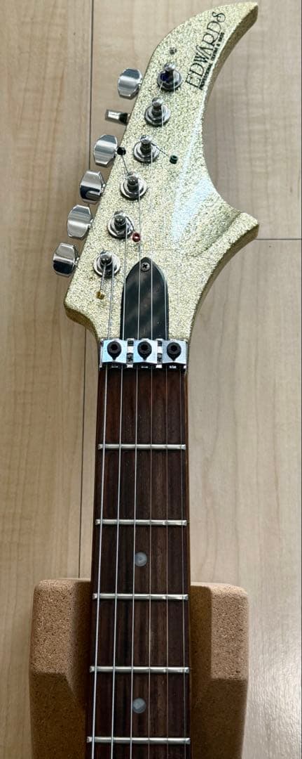 EDWARDS E-LK-100DK／Laputa kouichi ／ダムカラス