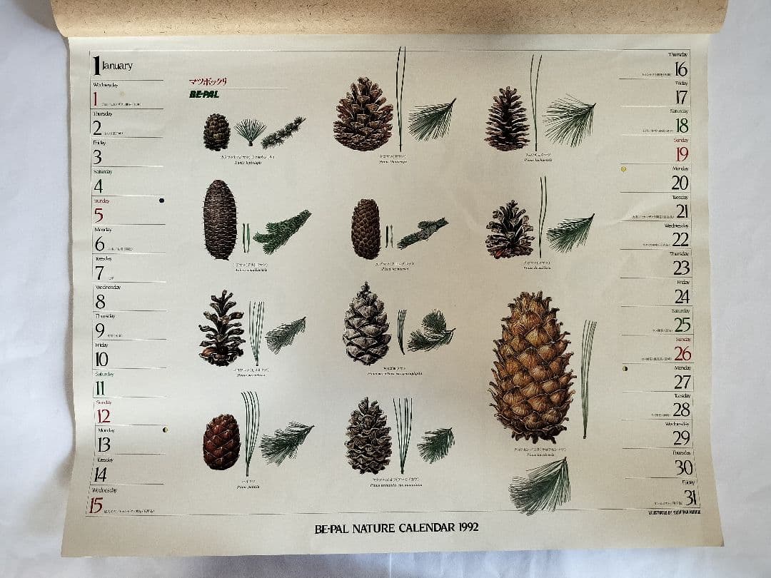 BE-PAL ビーパル カレンダー 新品未使用 1992年 ヴィンテージ