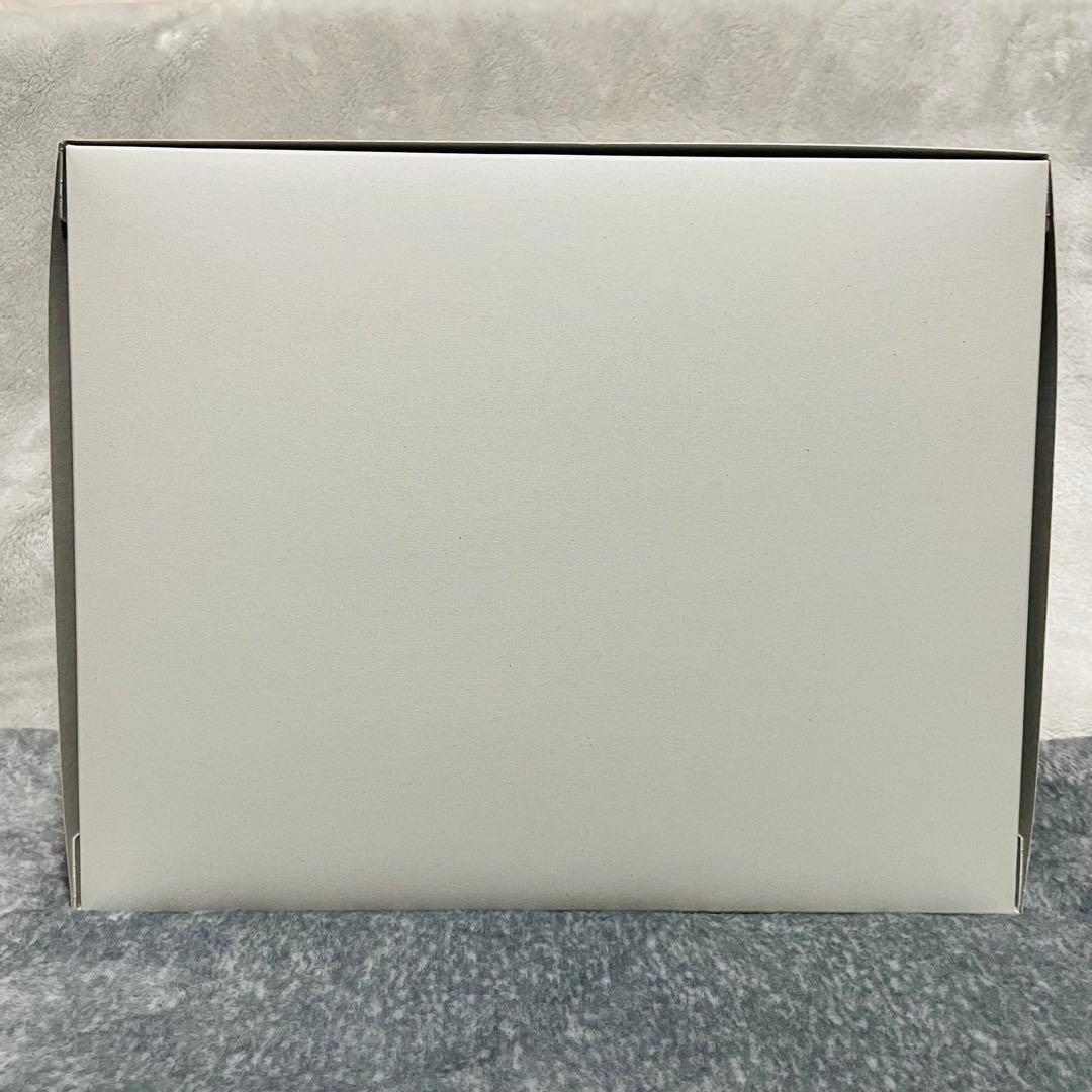 【新品未開封】1/144 RG MSN-04 サザビー スペシャルコーティング