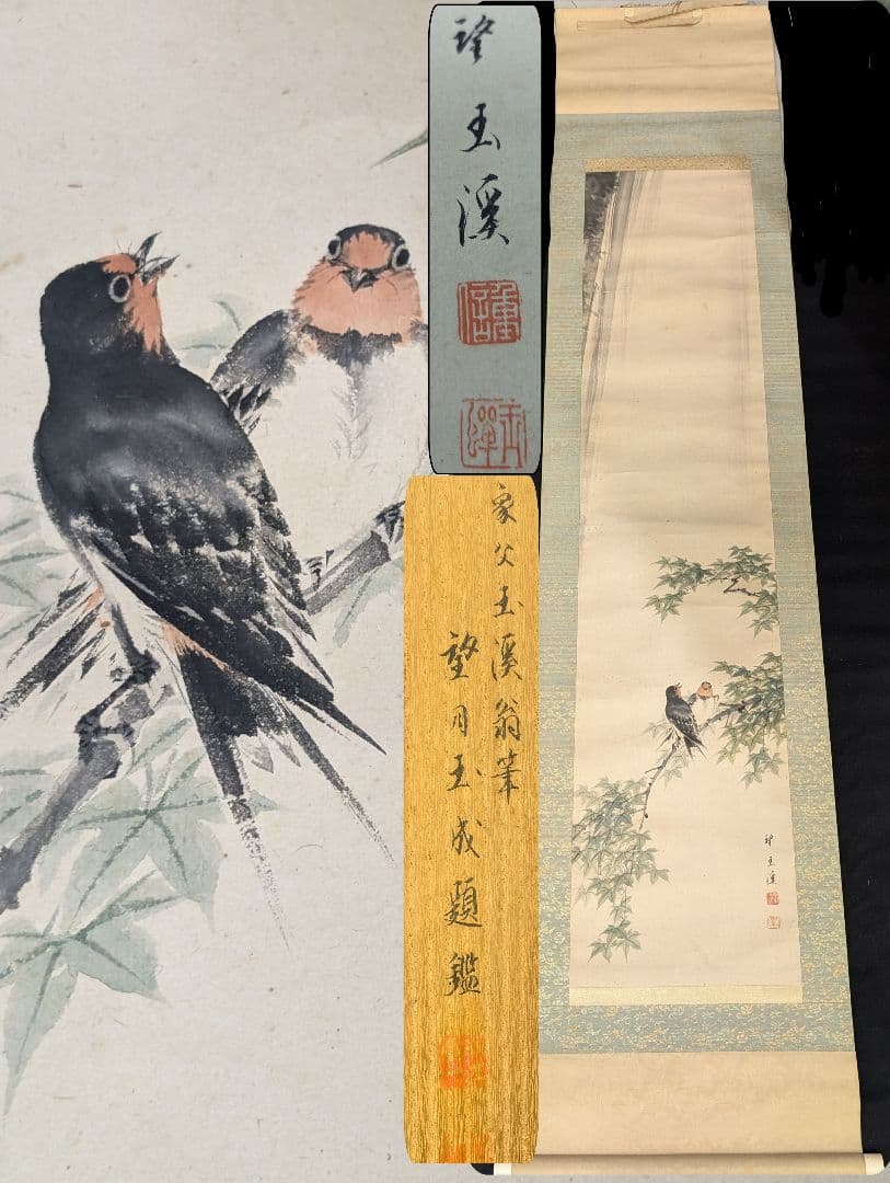 望月玉渓 望月玉泉 燕図 望月玉成 鑑題 日本画 花鳥画 茶掛軸 肉筆青楓飛爆図