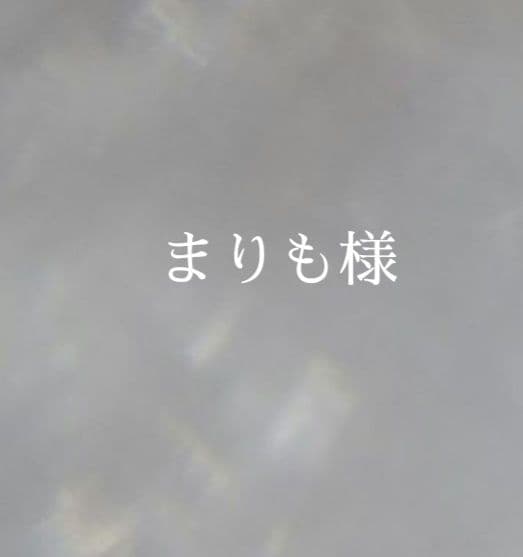3.まりも様　オーダー