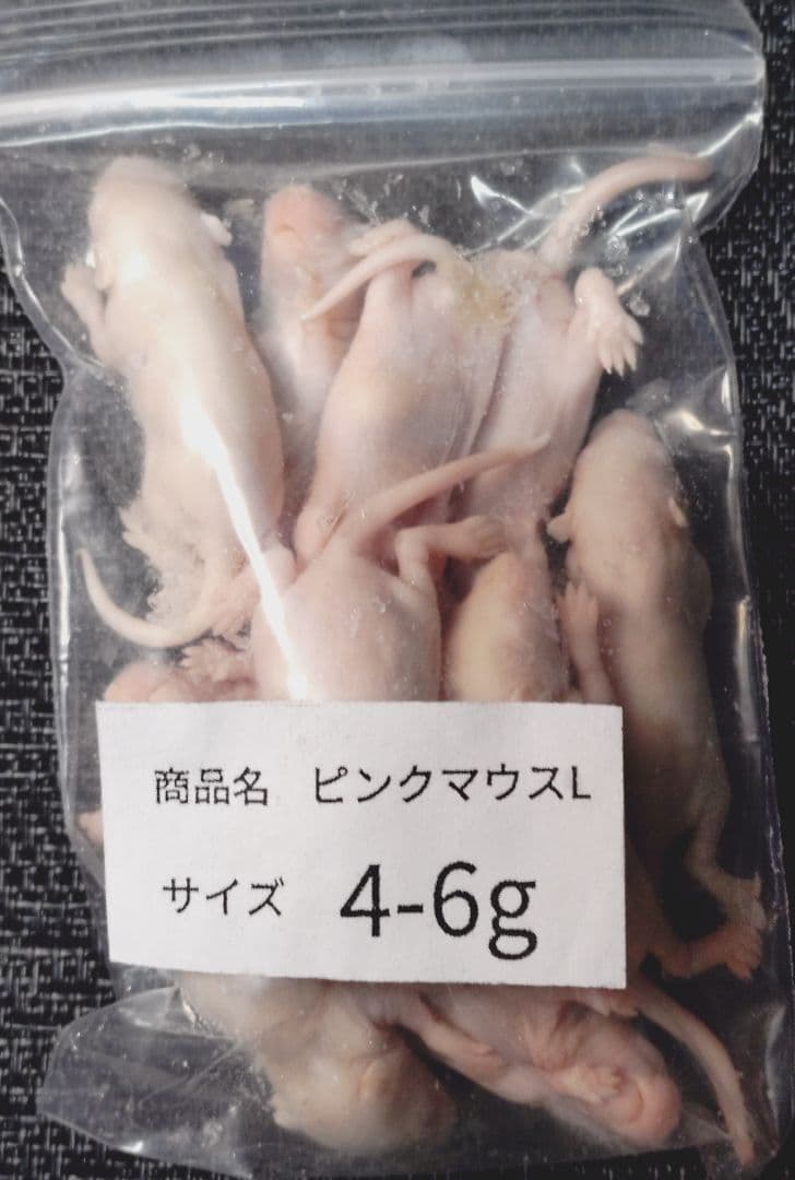 送料無料　冷凍ピンクマウスＬ100匹