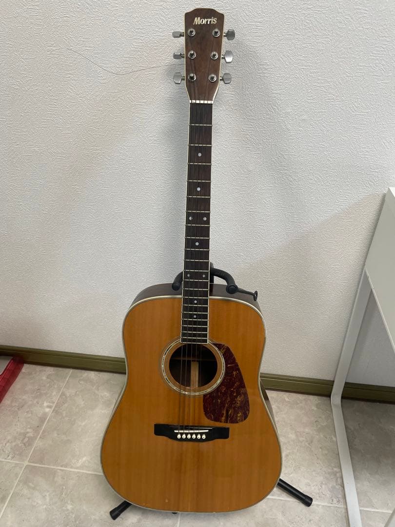 Morris アコースティックギター