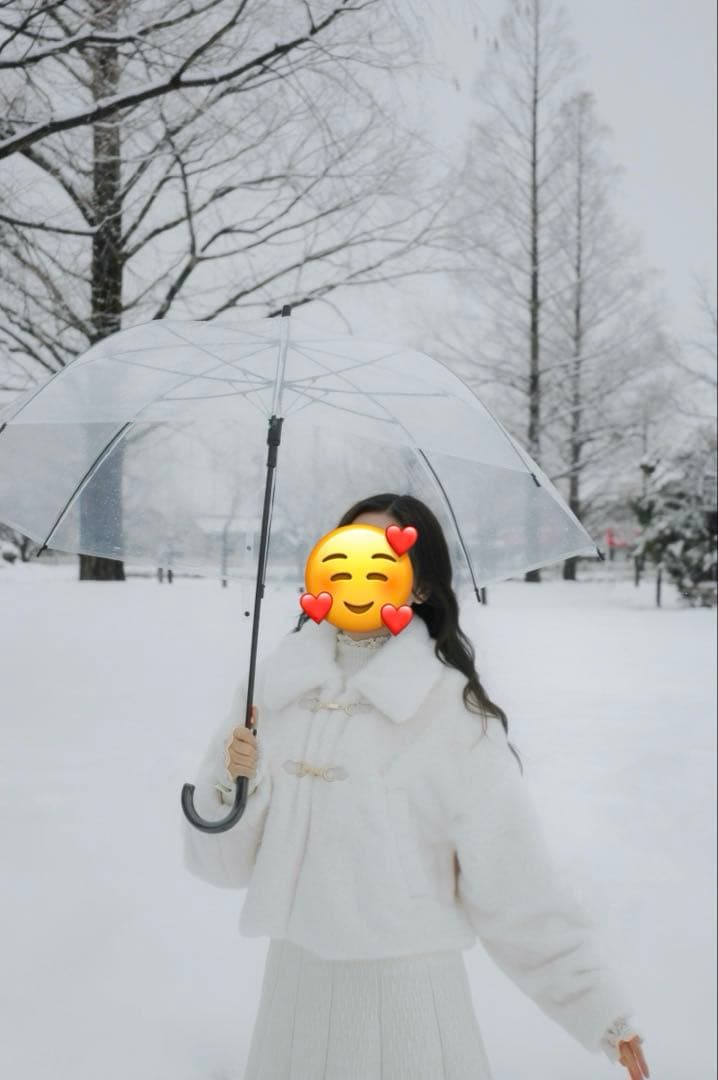 Nikon D70s レンズキット 一式セット 【正常動作品】 | 最終値下げ