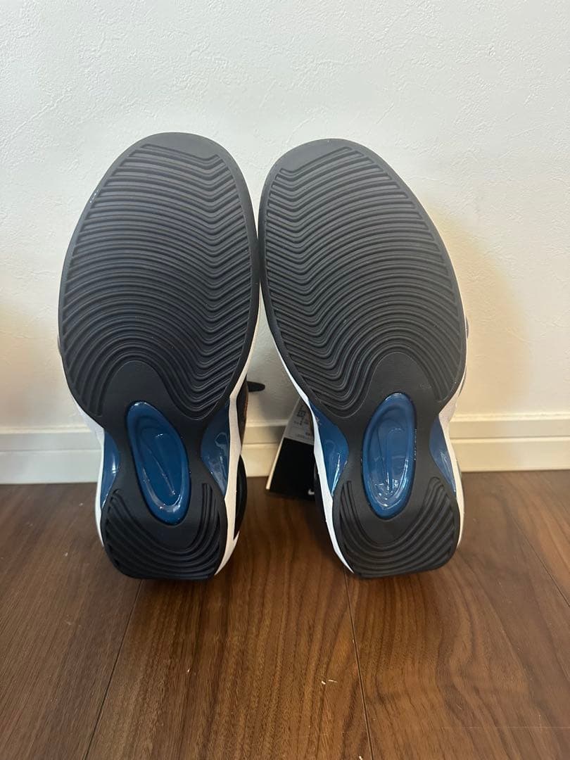 エアズームフライト95 新品未使用