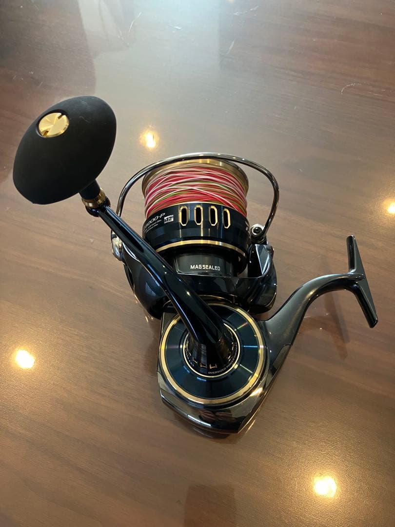 ダイワ　25ソルティガ25000P オッズポート12号　25 SALTIGA