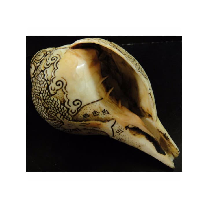 ◆チベット密教法具　法螺貝（シャンカ）ドゥルガー