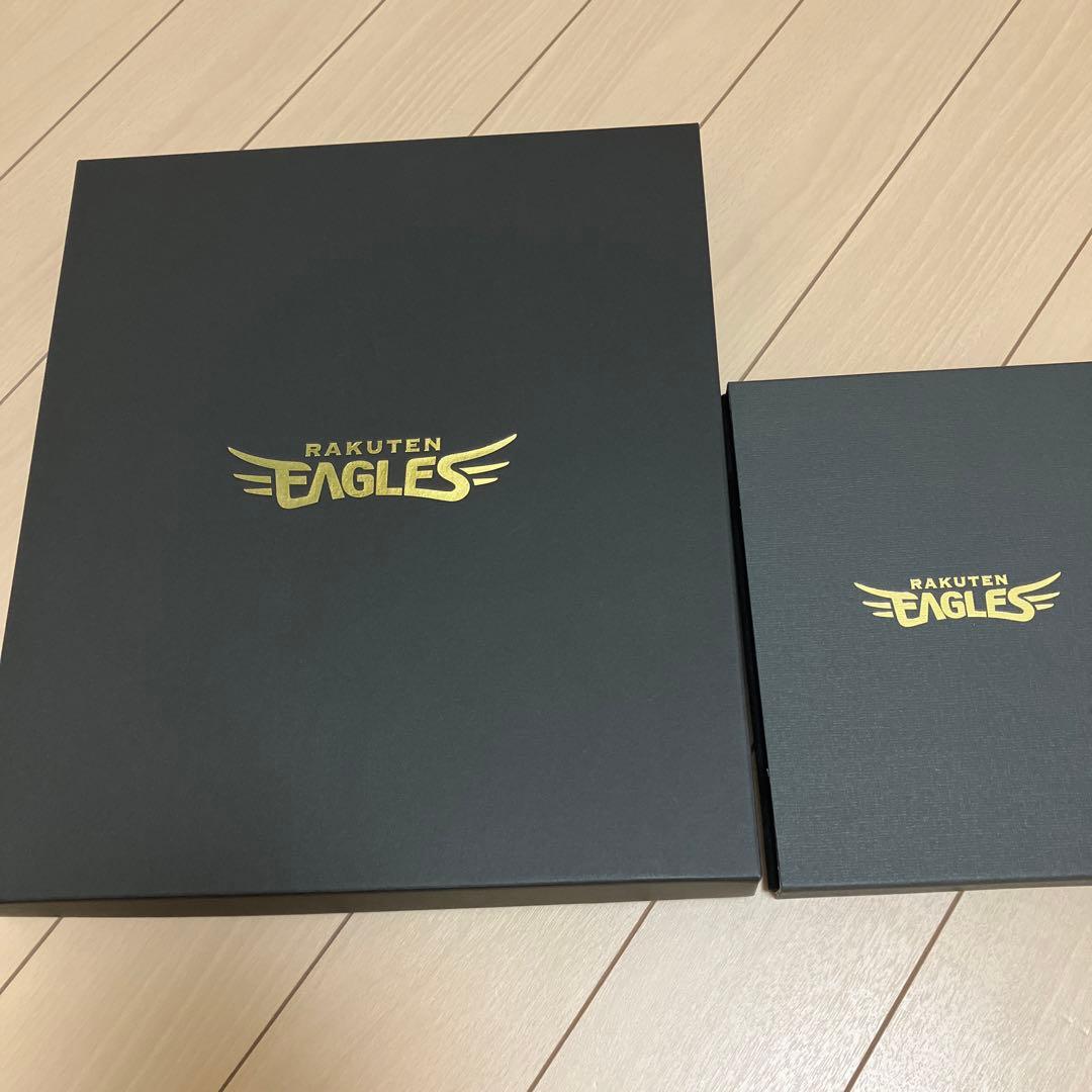 田中和基　2018最優秀新人賞獲得記念 ユニフォームチップフォトパネル　ボール付