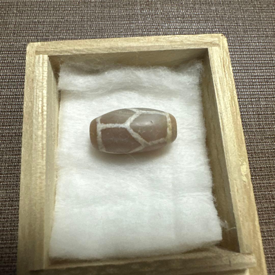 紅朱砂　亀甲EC