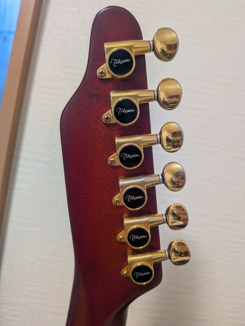 Takamine NPT-115-6NT 長渕剛　JAPANモデル