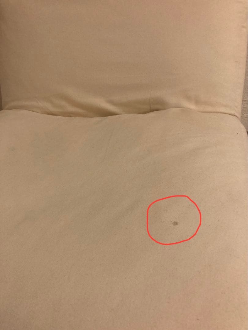 ジャーナルスタンダードファニチャー　ロデチェア RODEZ CHAIR ソファ