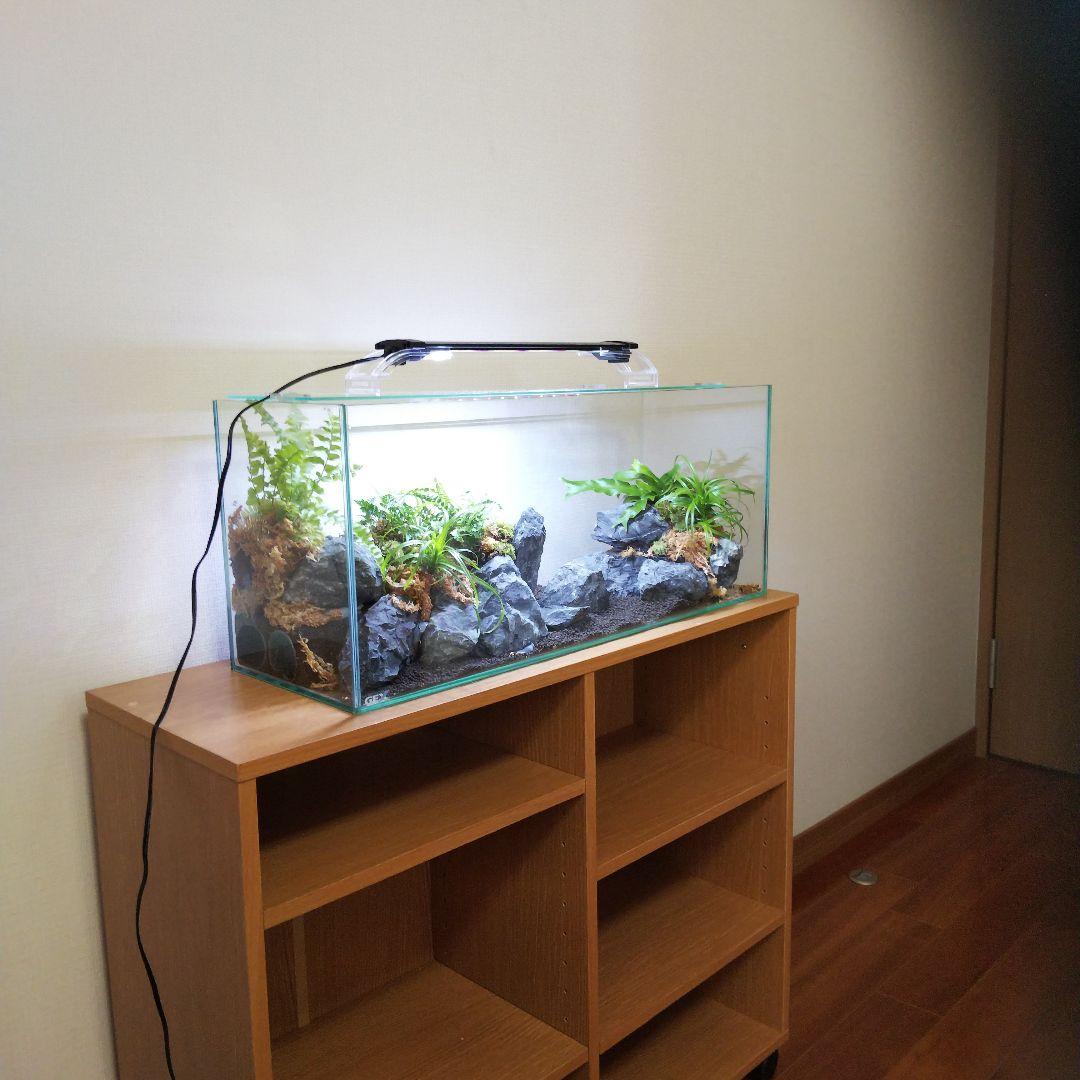 【受注生産】アクアテラリウム　イモリウム　苔　水槽　苔テラリウム