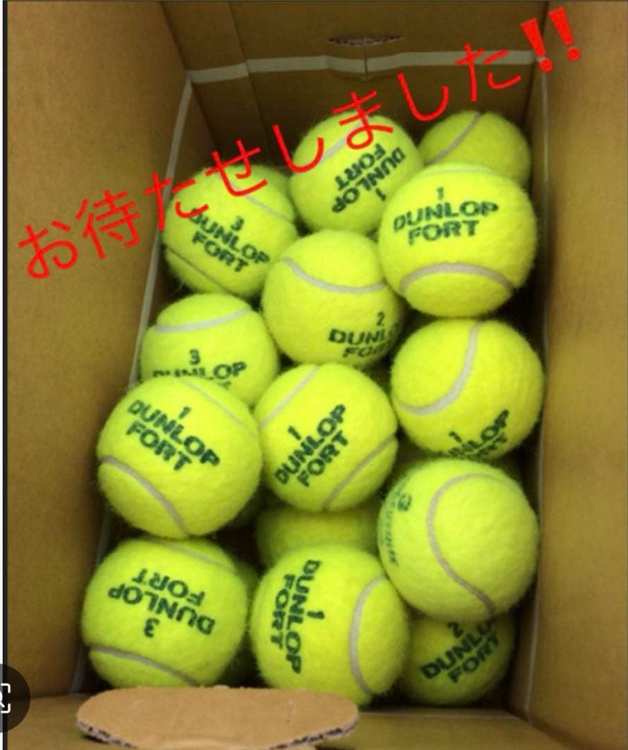 ダンロップFort 硬式テニスボール　100球