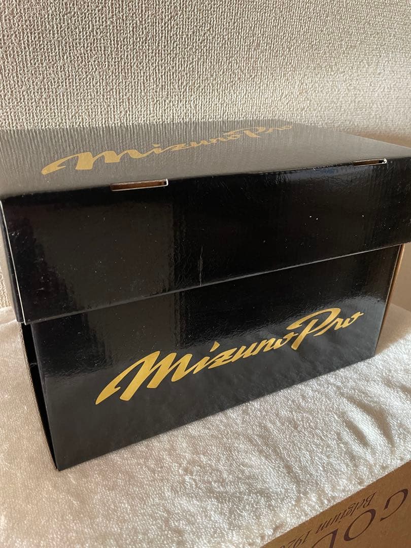 ミズノプロ　硬式内野 BSSショップ限定　テネイシャスプロエリートレザー