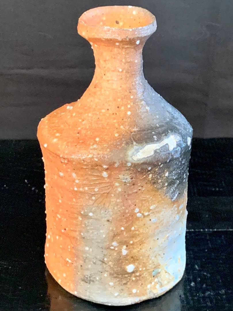 辻村史朗　信楽徳利