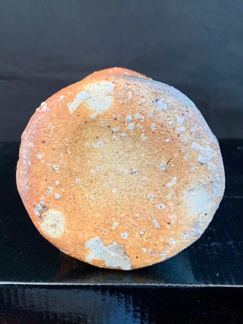 辻村史朗　信楽徳利