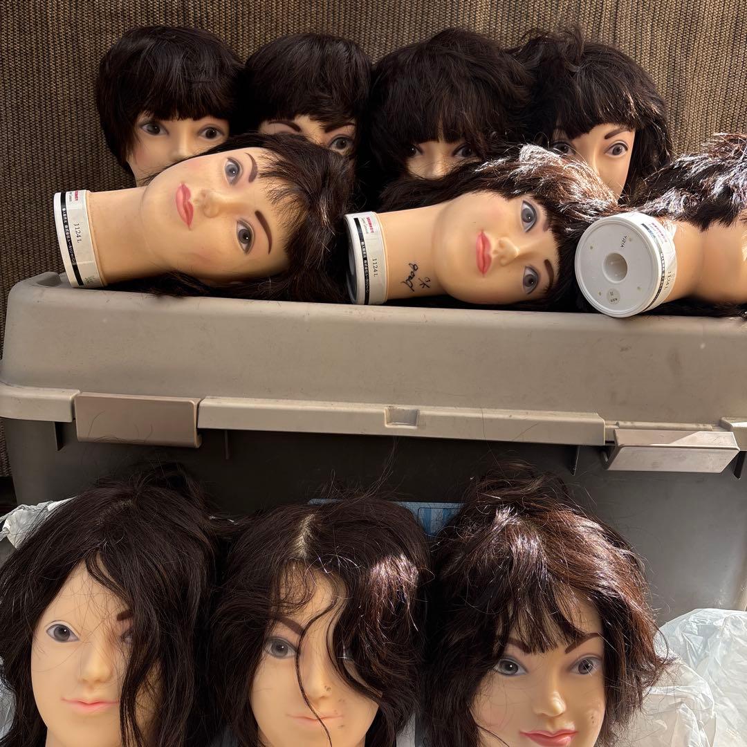 ユーカリージャパン　カットウィッグ国家試験練習用10個セット　値下げあり