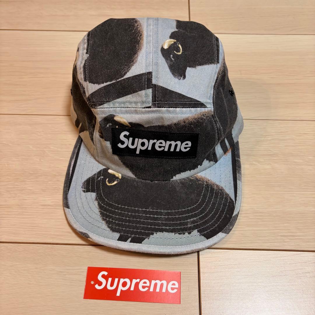 帽子 Supreme Damien Hirst Camp Cap \
