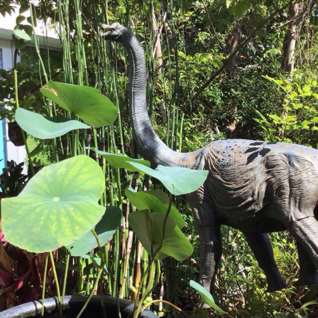 海洋堂 1990年製 ブラキオサウルス 80cm巨大フィギュア 美品