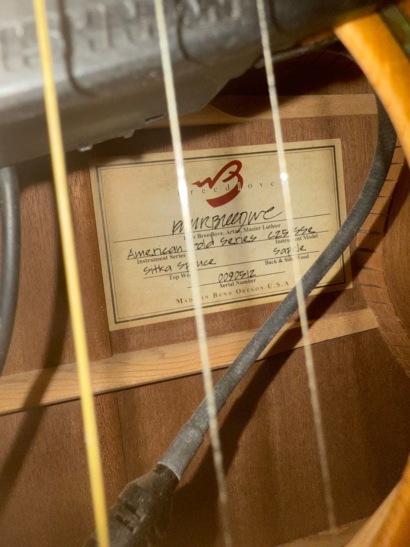 ギター breedlove American c25