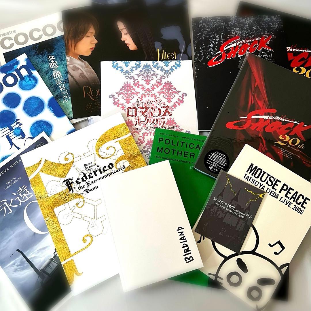 上田竜也　パンフレット　フライヤー　舞台　コンサート　ライブ　映画　中丸雄一