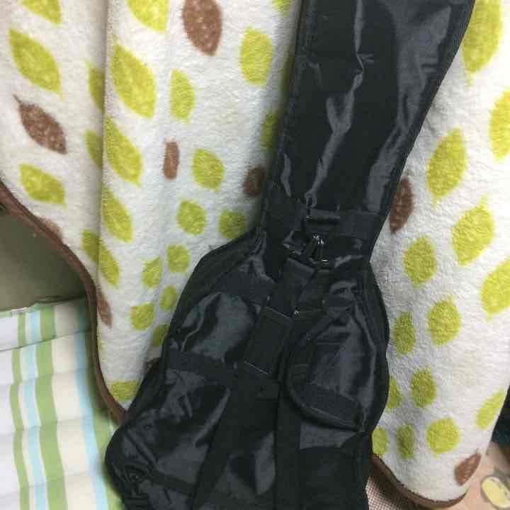 値下げしましたアコースティックギター PLAYTECH D4 ソフトケースセット