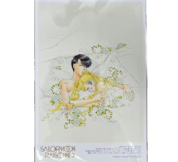 8999セーラームーン 6点セット レゾネ 豪華版 ファイル　ポストカード