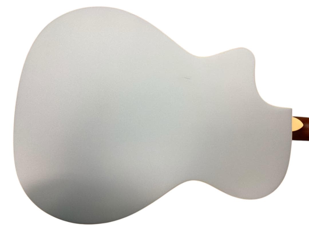 Fender エレアコ Newporter Player IBM WIN