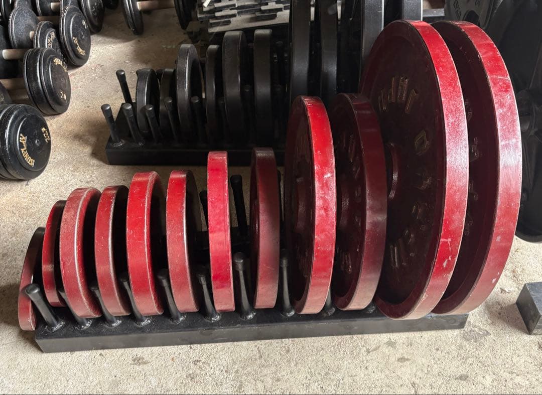 nippyo プレート　120kgセット　ホームジム　ダンベル　アイロテック