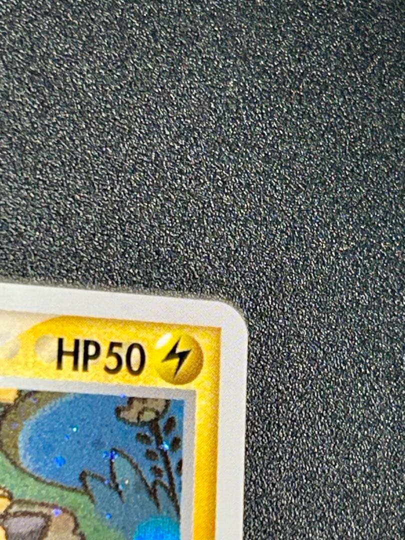 ポケパーク　フォレストシート