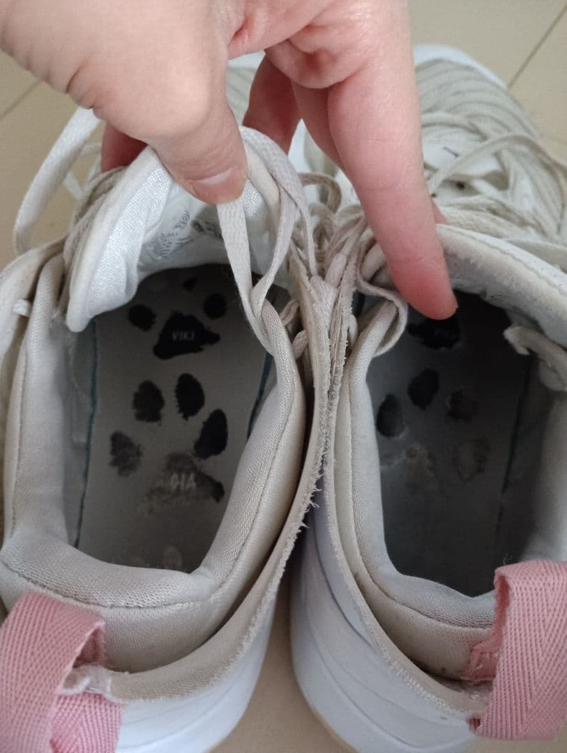 Jordan 36 ホワイト/ピンク バスケットシューズ