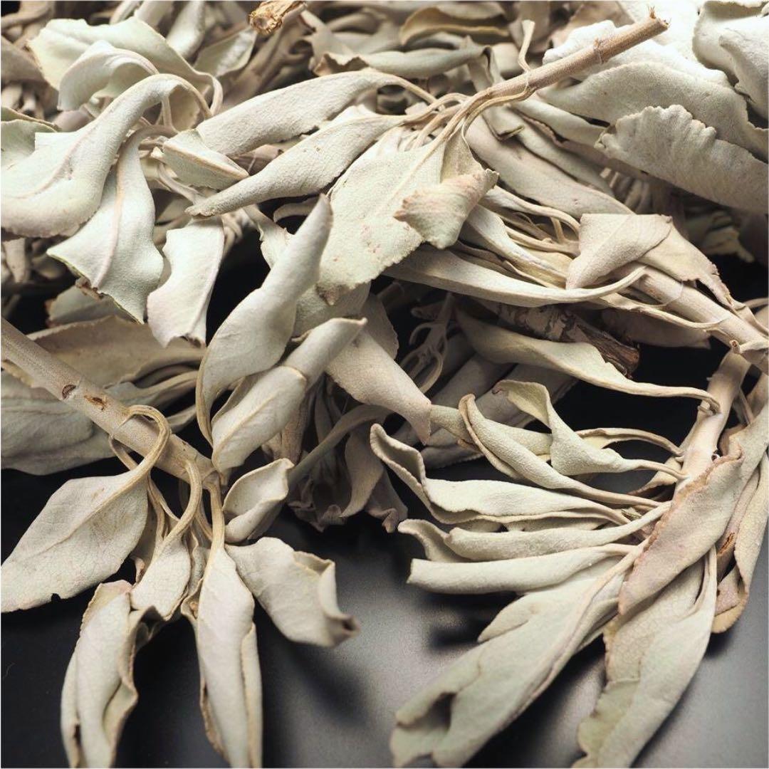 ★特選NEW★無農薬カリフォルニア産【箱配送50g高品質ホワイトセージ】❤️