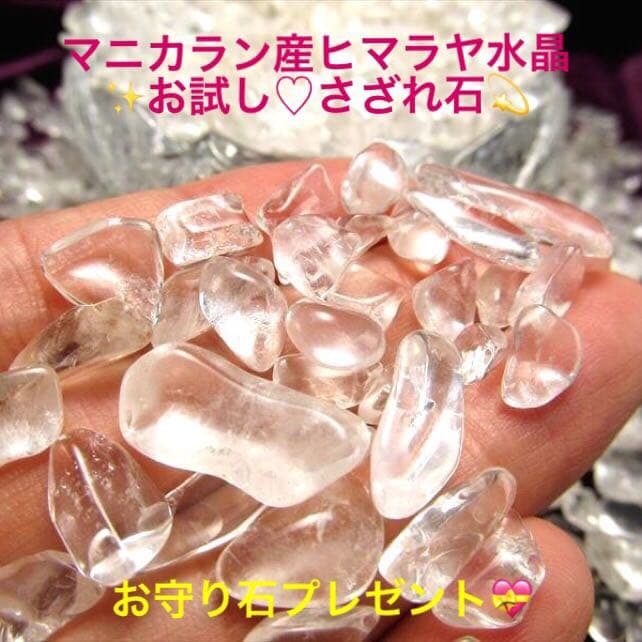 ★特選NEW★無農薬カリフォルニア産【箱配送50g高品質ホワイトセージ】❤️