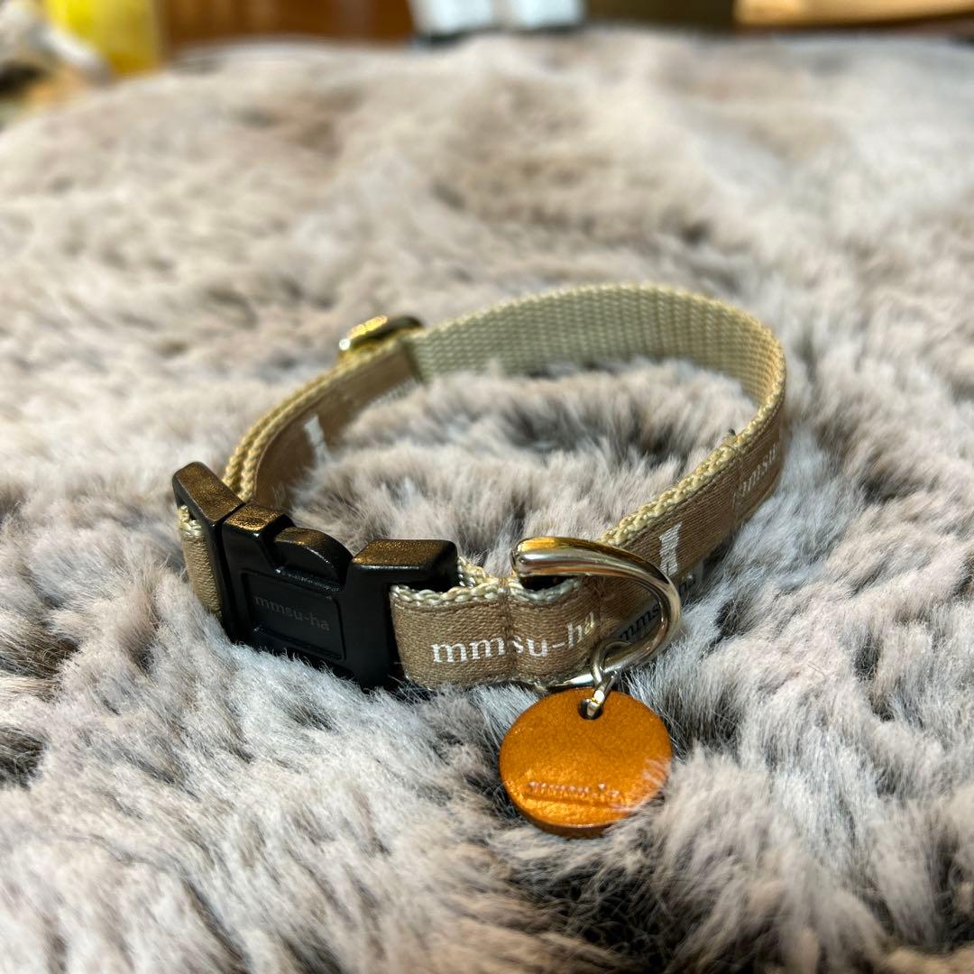 【ベティ】mmsu-ha エムエムスーハ ロゴ カラー リード セット