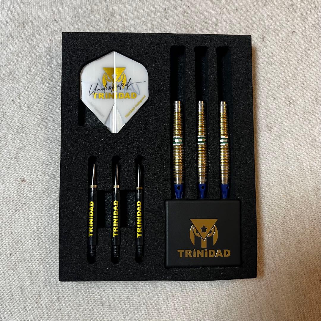 リカルド タイプ3 浅田 斉吾 トリニダード ダーツ