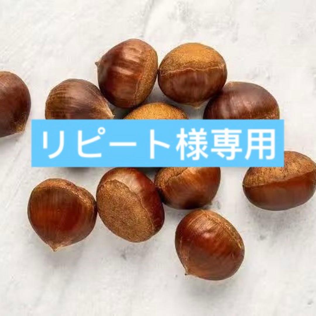 特大粒　4L生栗　無農薬　約5kg
