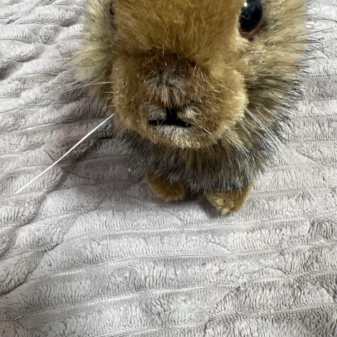 KÖSEN kosen ケーセン ぬいぐるみ ウサギ ドイツ