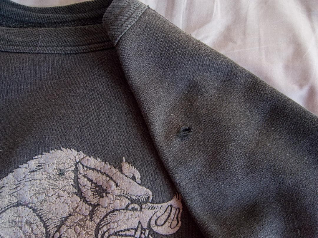 【推定60s】ヴィンテージ フロッキースウェット ARKANSAS 猪プリント