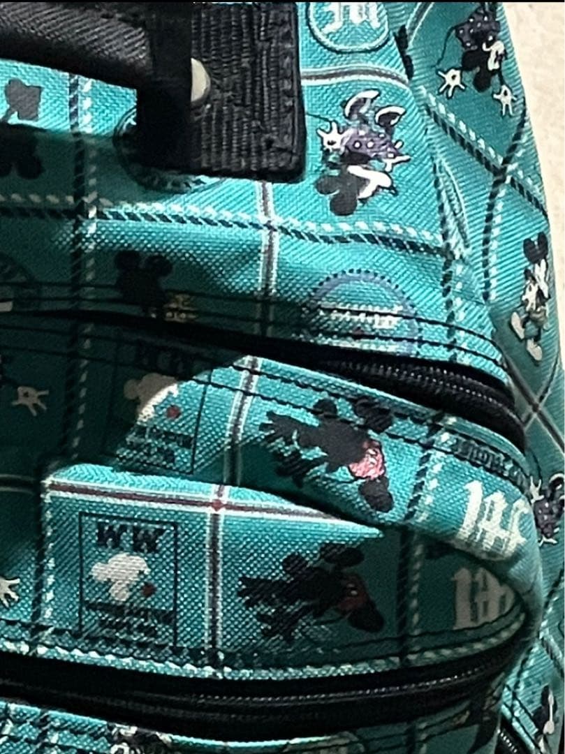 ディズニー緑キャリーカートミッキーミニー サイドポケットセキュリティポケット有り