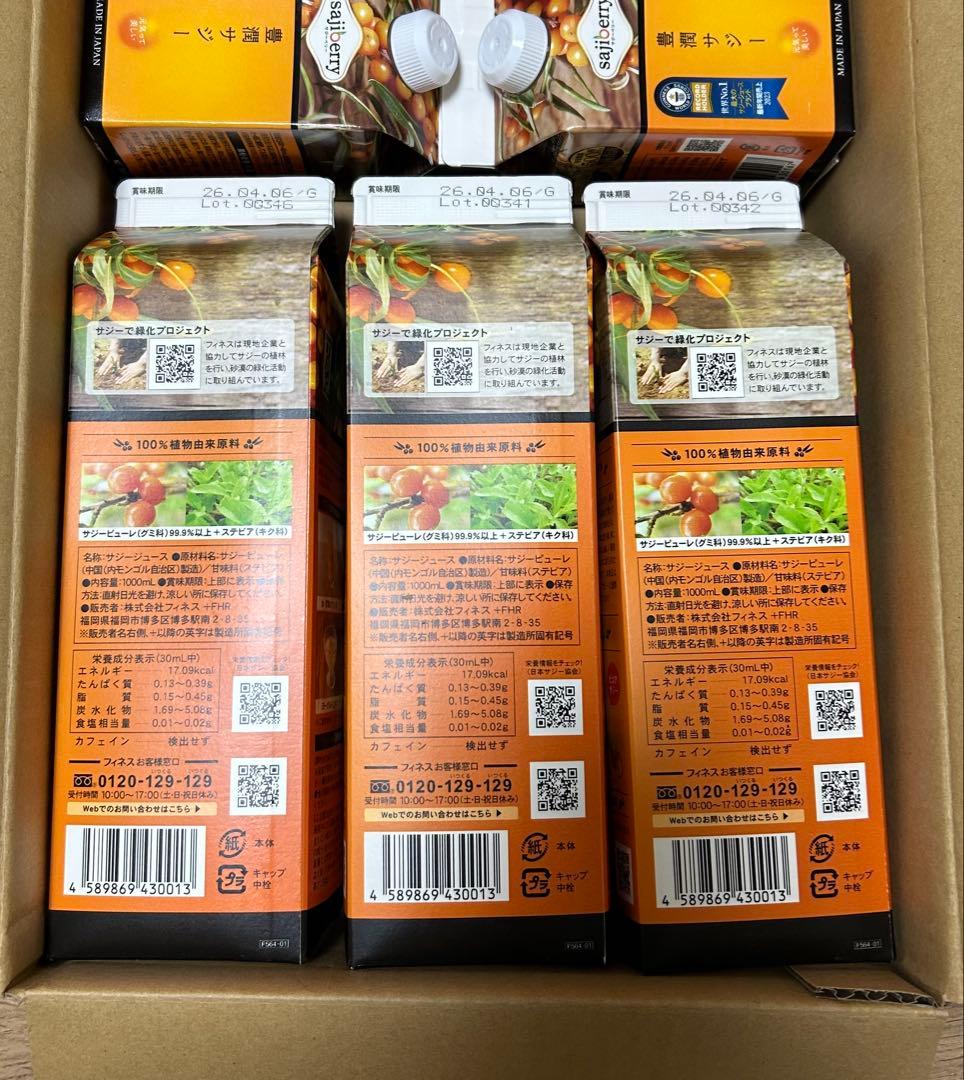 フィネス 豊潤サジー５本セット 1000ml 3本　300ml ２本