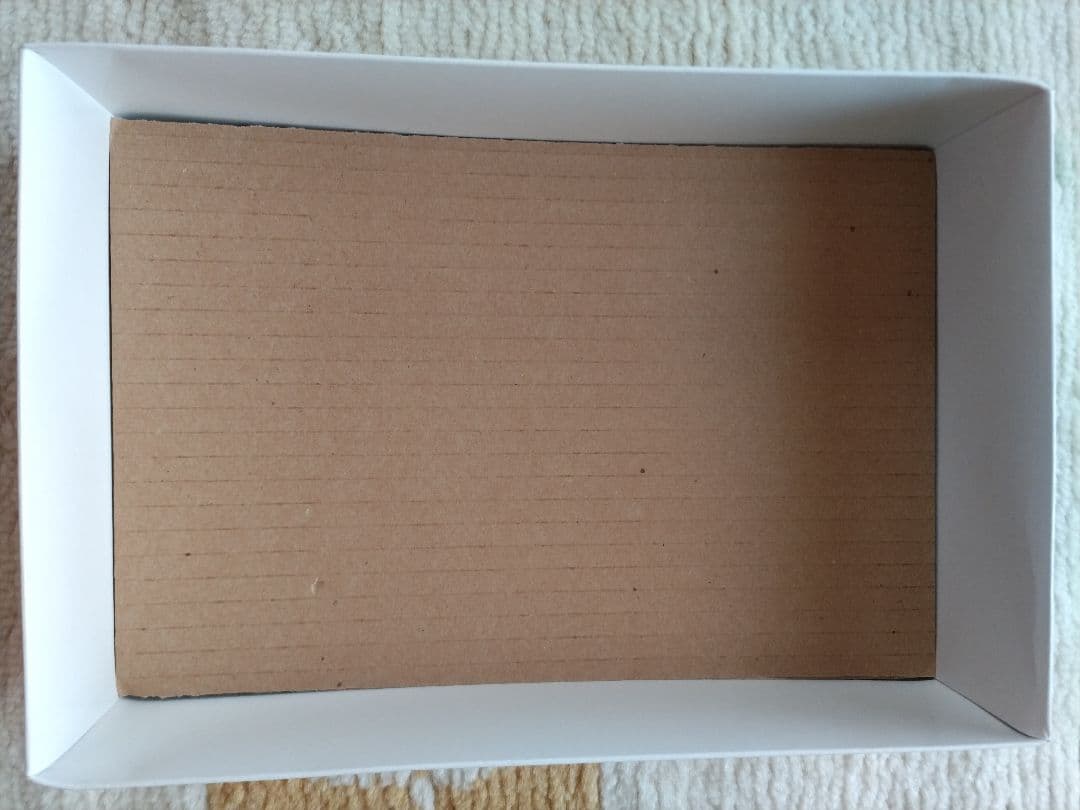 ロボット 1:100 SCALE TERROR MIRAGE BOTH : 2992