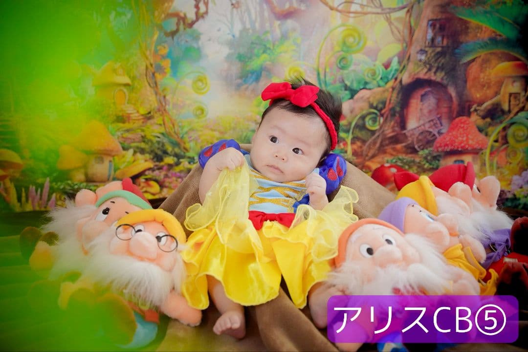 背景布+秋色チョーカー　パンパスグラス　お月見　十五夜　ペットサロン撮影用