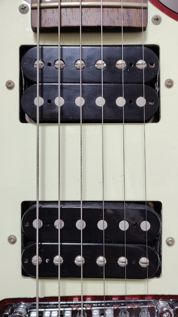 Greg Bennett Interceptor IC-30 フロイドローズ