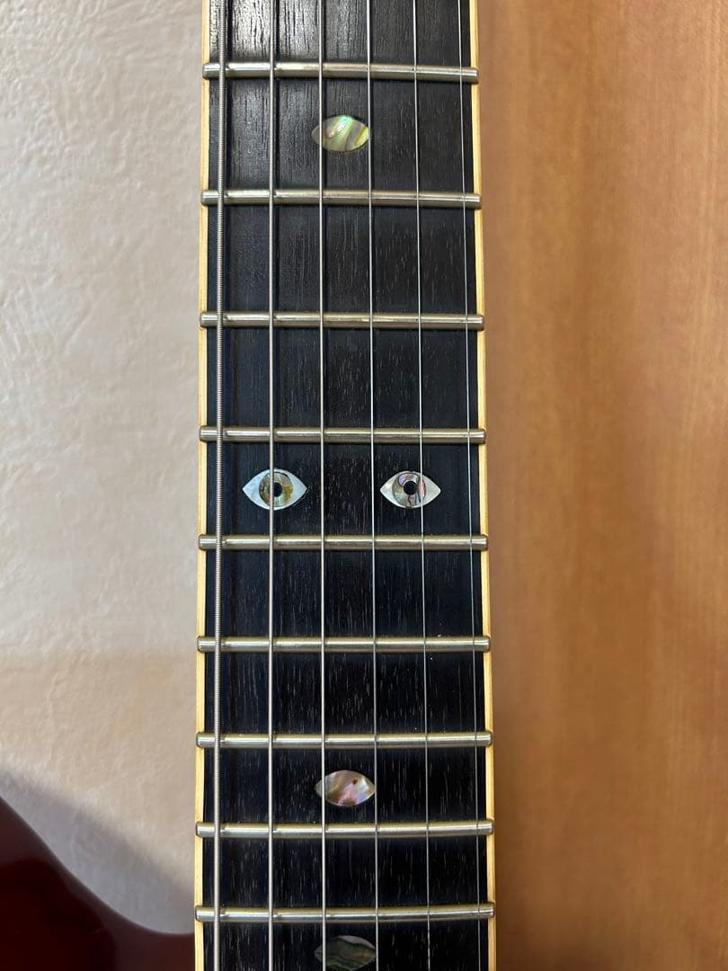 hide HR-195 リスペクト オリジナルギター　サスティニアック　FRT